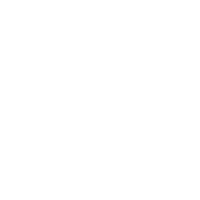 Twitter social icon